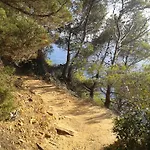 Les Palmiers 3* Bormes-les-Mimosas