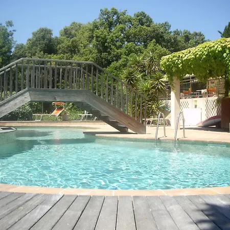 Hotel Les Palmiers 3*