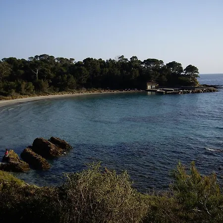 Les Palmiers Bormes-les-Mimosas