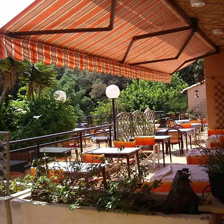 فندق Les Palmiers 3*