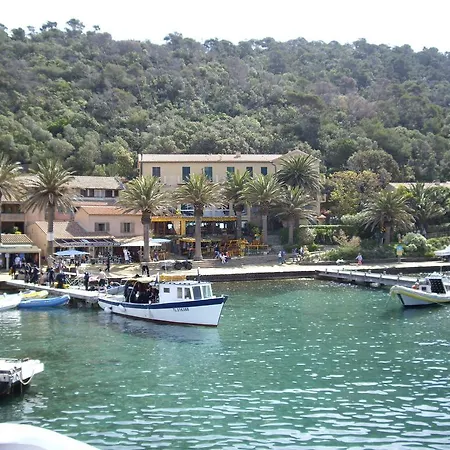 Les Palmiers Hotel 3*