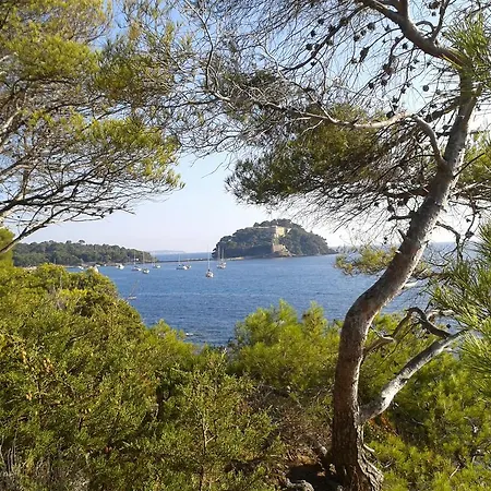 Les Palmiers Bormes-les-Mimosas