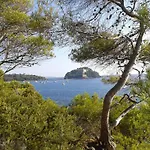 Les Palmiers Bormes-les-Mimosas