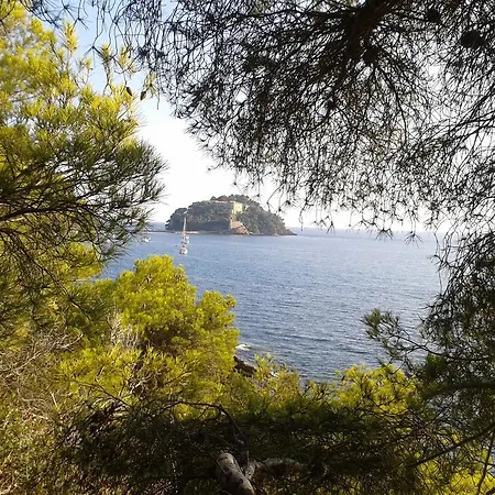 Les Palmiers Hotel 3*