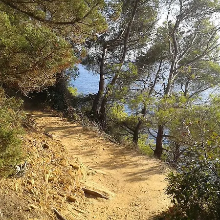 Les Palmiers 3* Bormes-les-Mimosas