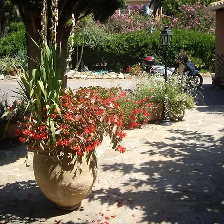 Les Palmiers Bormes-les-Mimosas