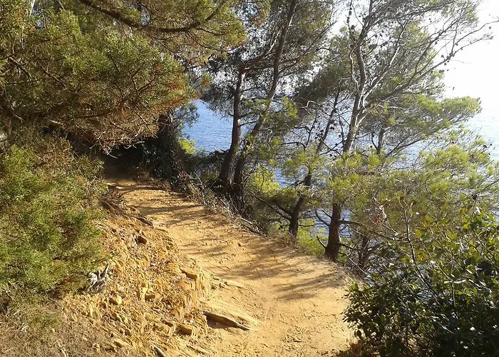 Les Palmiers 3* Bormes-les-Mimosas