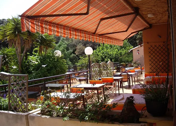 Szálloda Les Palmiers 3*