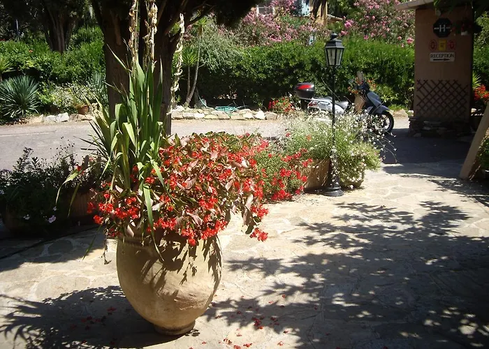 Les Palmiers Bormes-les-Mimosas