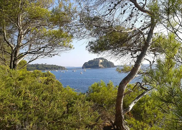 Les Palmiers Bormes-les-Mimosas