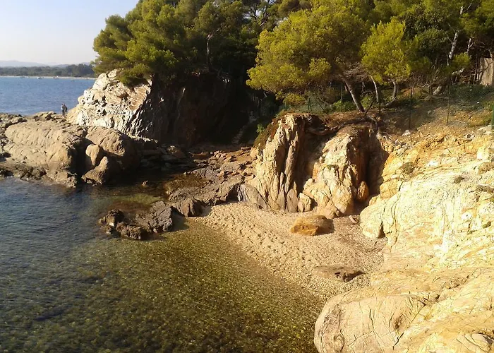Les Palmiers