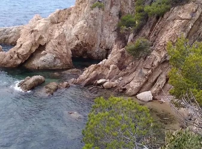 Szálloda Les Palmiers